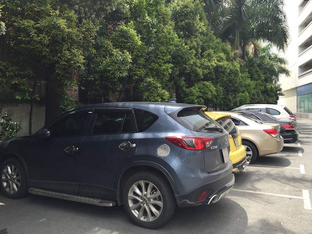 Ảnh chụp trong điều kiện ánh sáng tốt