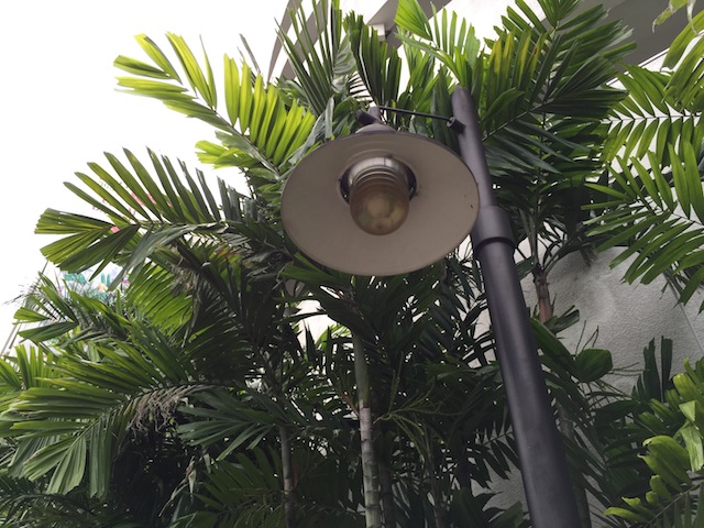 Ảnh chụp trong điều kiện ánh sáng tốt