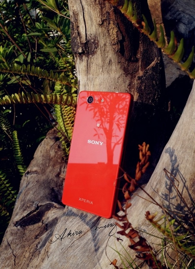 Sony Xperia Z3 Compact sắc xanh và đỏ nghiêng mình dưới ánh nắng