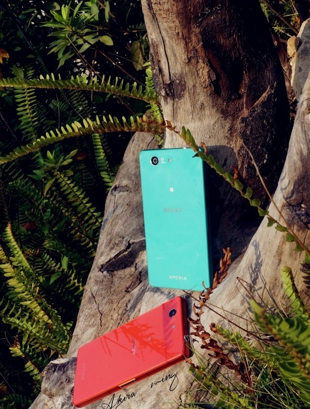 Sony Xperia Z3 Compact sắc xanh và đỏ nghiêng mình dưới ánh nắng