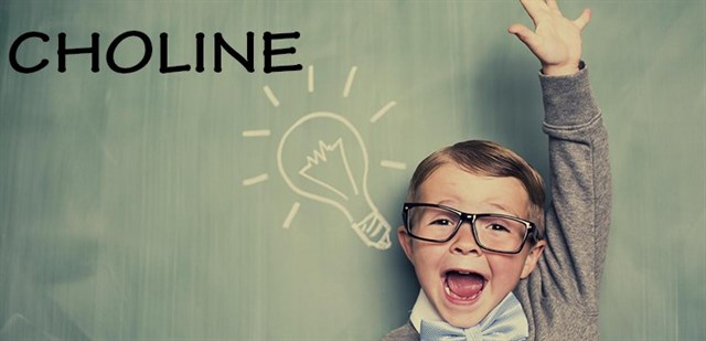Image result for hàm lượng choline
