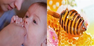 Có nên dùng mật ong rơ lưỡi cho trẻ?