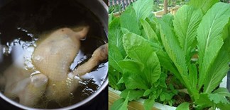 Thịt gà rau cải: Dùng nước luộc gà nấu canh cải được không?