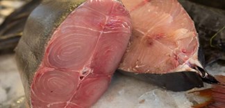 Vì sao thịt cá biển lại không mặn?