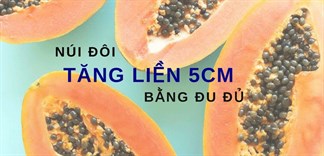 Núi đôi tăng liền 5cm chỉ bằng 6 cách từ đu đủ