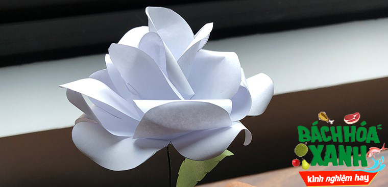 Cách làm hoa hồng bằng giấy cực đẹp tặng người yêu
