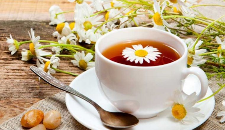 Lợi ích của trà hoa cúc mật ong và những lưu ý khi sử dụng mỗi ngày
