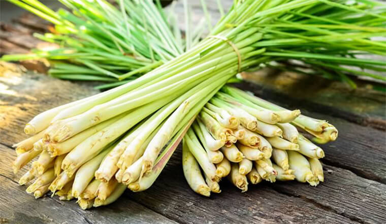  xông mặt se lỗ chân lông 