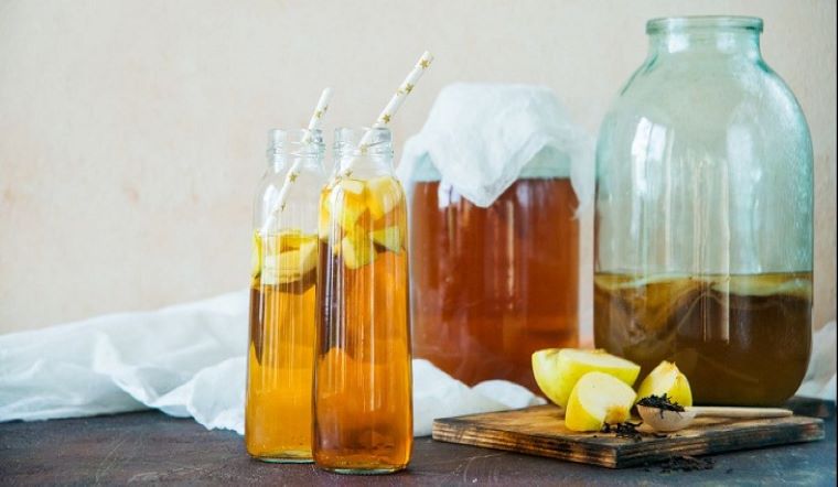 Kombucha là gì? Tác dụng của trà Kombucha, cách nuôi Scoby