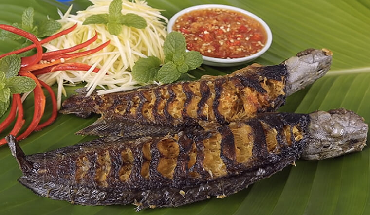Phân biệt các loại cá trê phổ biến tại Việt Nam