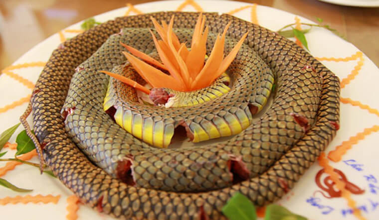 Thịt rắn có thể chế biến thành những món ngon nào?
