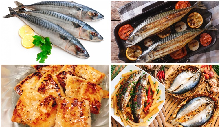 Ăn cá saba có lợi ích gì? Tổng hợp các món ăn cực ngon từ cá saba