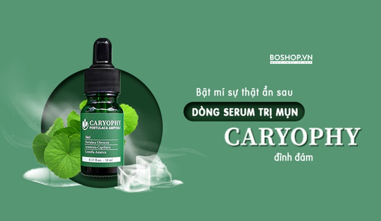 Đánh giá khả năng trị mụn thâm của Serum Caryophy Portulaca Ampoule