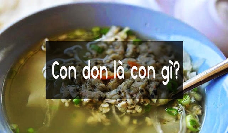 Con don là có phải là con hến? Giá trị dinh dưỡng, các món ngon từ don