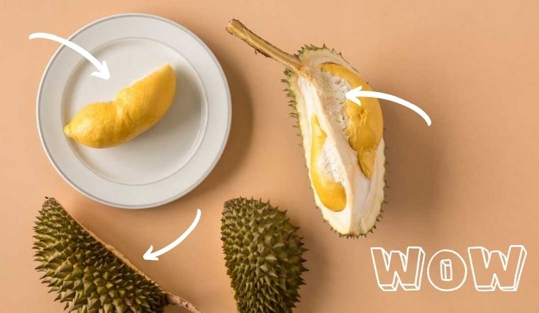 5 cách ăn sầu riêng ngon đúng chuẩn, triệt để cả hạt, cùi, vỏ