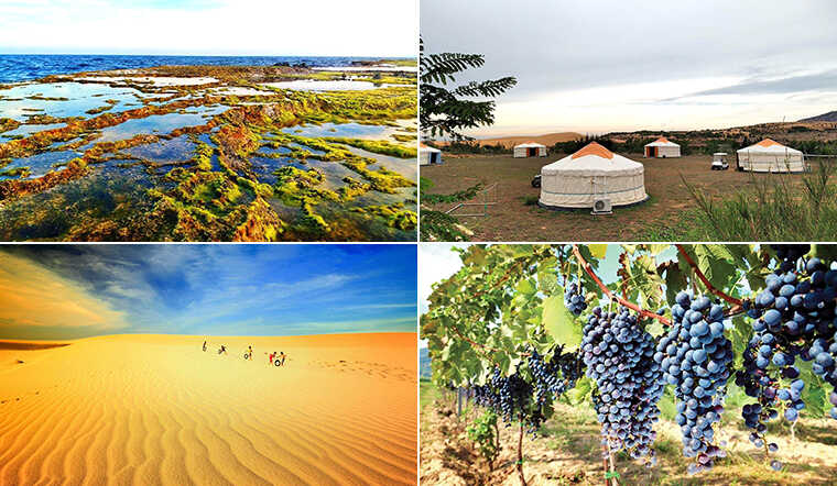 Top 10 địa điểm du lịch Ninh Thuận đẹp, nổi tiếng nhất