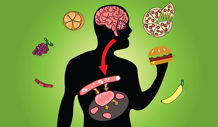 Metabolic V Metabolism L G S Quan Tr Ng C A Metabolic