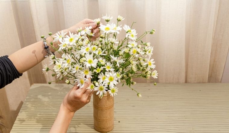 Top 119+ cắm hoa cúc hoạ mi
