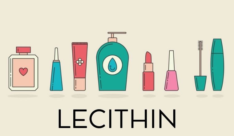 Lecithin là gì? Có tác dụng gì trong mỹ phẩm