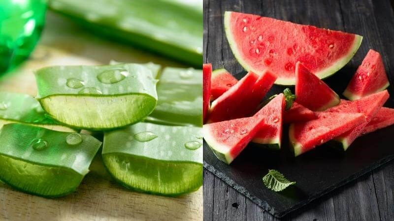 24 cách làm nước detox giảm cân cho người đau dạ dày và lưu ý khi uống