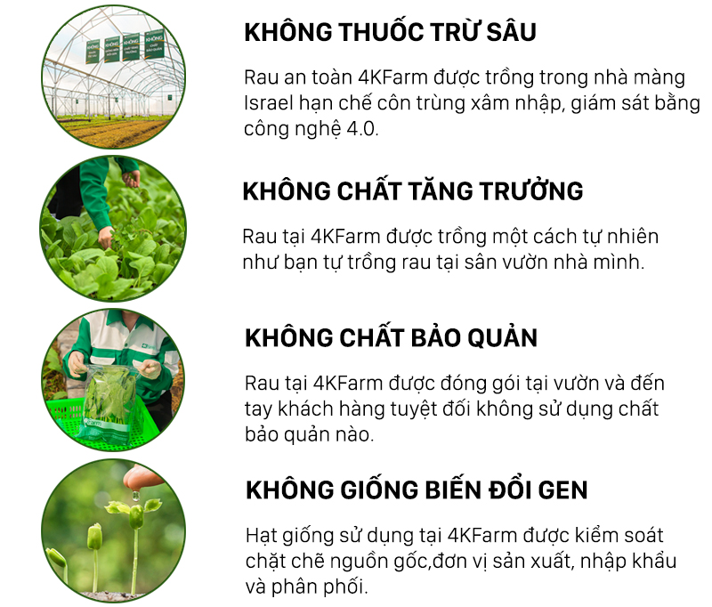 Cải thìa 4KFarm 500gr 0