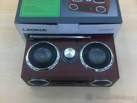Loa Leona SA600