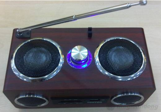 Ăngten nghe FM