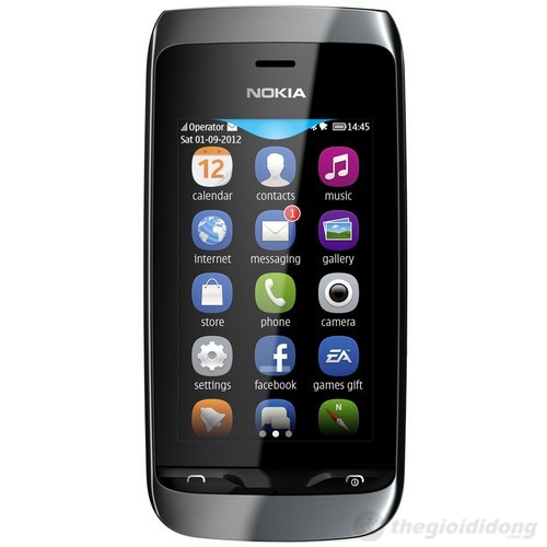 Nokia Asha 307