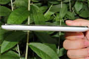 Q-Smart S53-hình 5