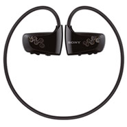 Sony Walkman NWZ-W262 (2GB)