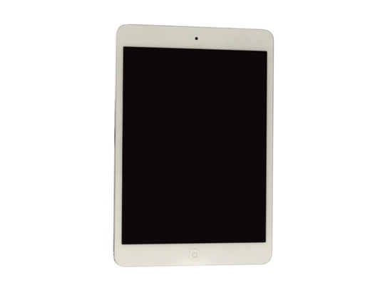 iPad mini 16GB Wifi | Thegioididong.com