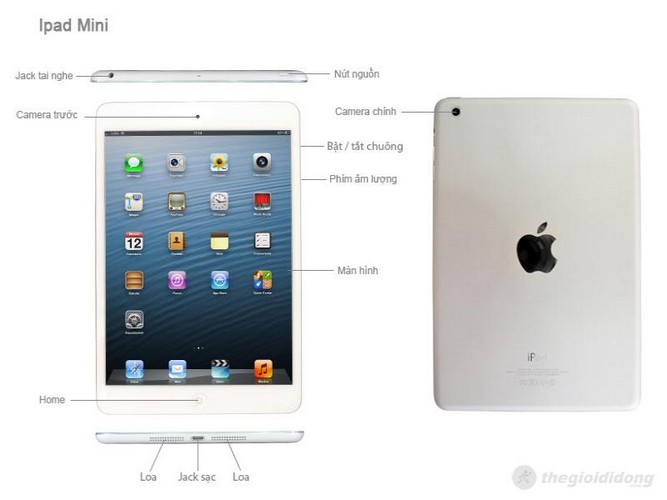 Các phím chức năng của iPad mini