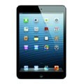 iPad mini Wi-Fi 16GB