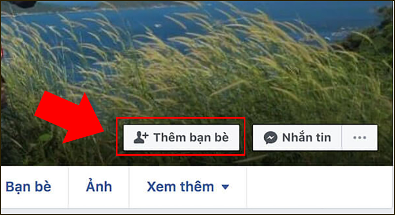 Công khai nút Kết bạn và Theo dõi