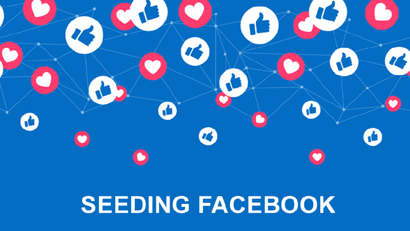 Seeding giúp lan tỏa thông điệp đến khách hàng