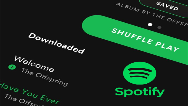 Tải nhạc từ Spotify về điện thoại.