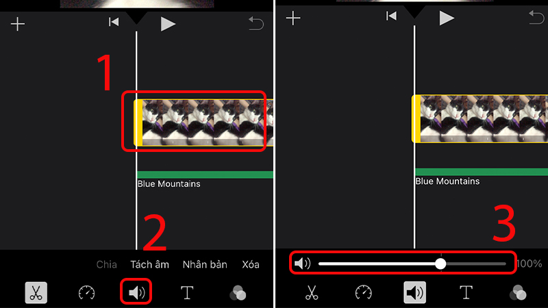 Bạn có thể điều chỉnh âm lượng của video gốc tùy ý