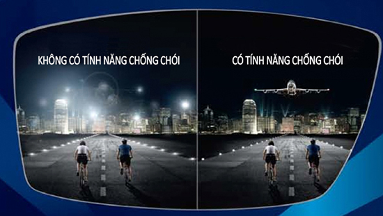 trong-kinh-co-bao-nhieu-loai-nen-mua-loai-nao