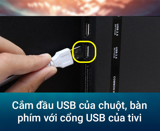 kết nối chuột, bàn phím có dây