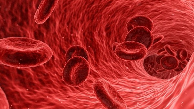 Ion âm có thể giúp làm sạch máu