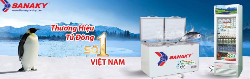 Thương hiệu tủ đông số 1 Việt Nam