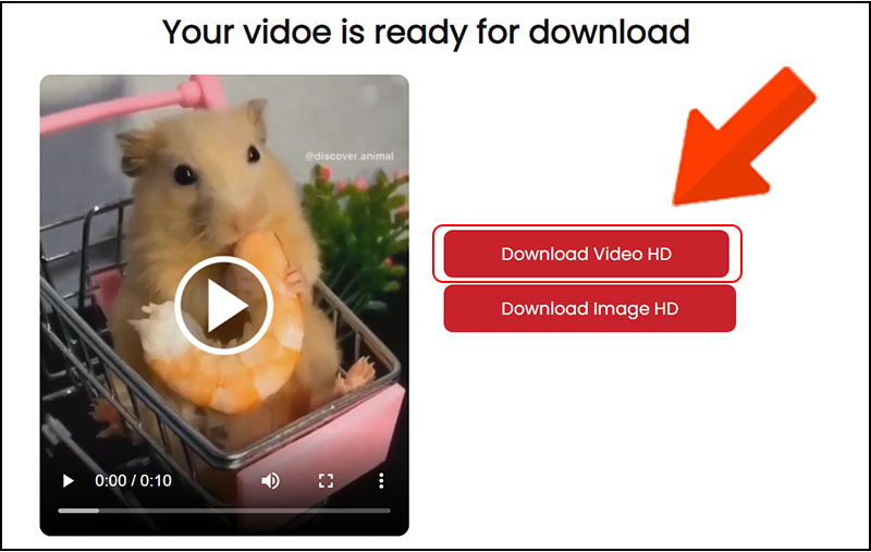 Chọn Download Video HD ở dòng đầu tiên.