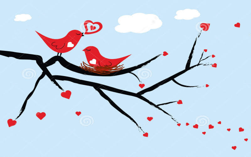 Những việc nên làm vào ngày Valentine Đỏ