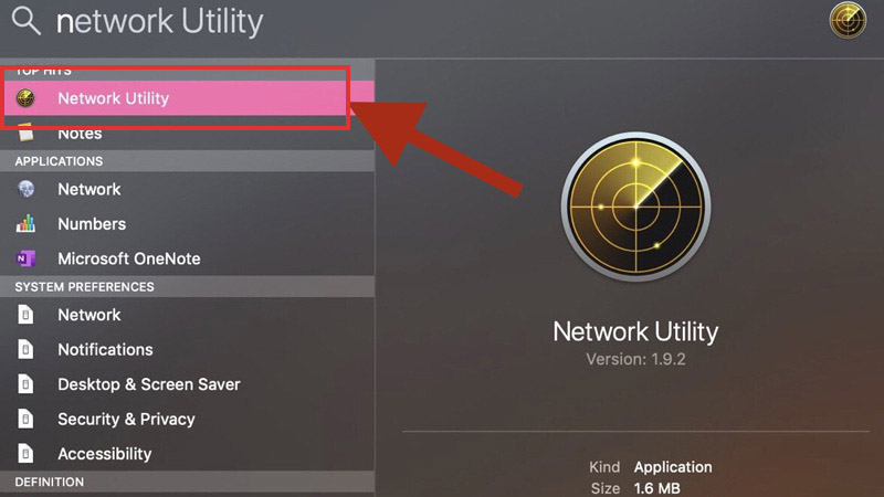 Tìm kiếm Network Utility bằng cách nhập network utility vào khung tìm kiếm Spotlight giữa màn hình, lúc này ứng dụng Network Utility sẽ hiện ra.