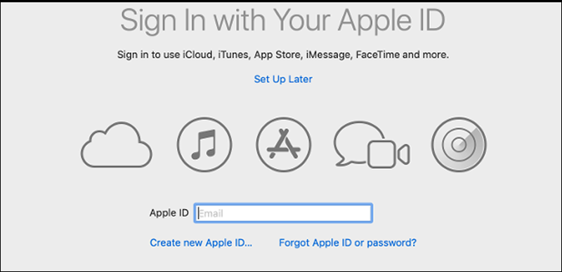 Bạn thực hiện thiết lập ID Apple 