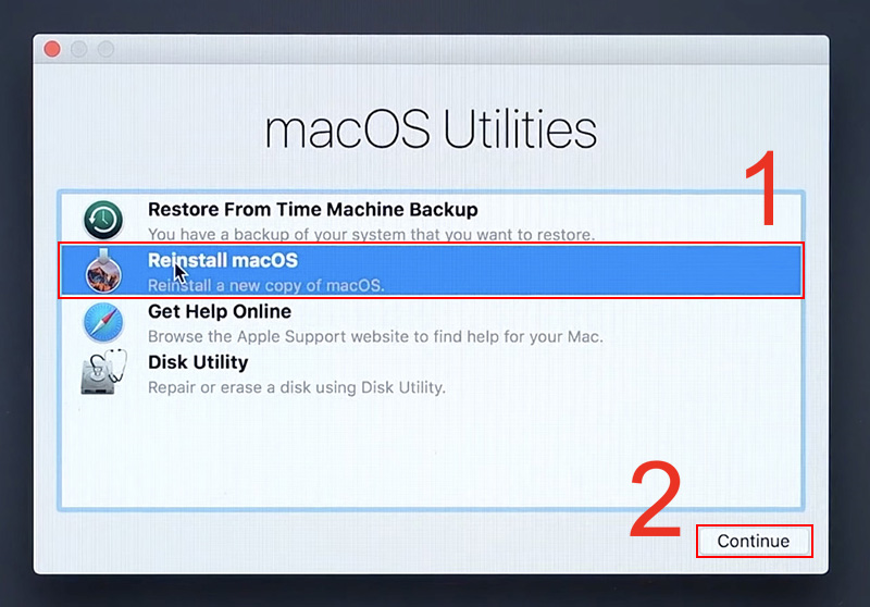 Chọn Reinstall macOS rồi nhấn Continue