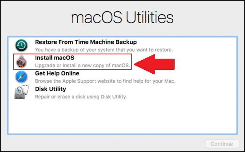 Nhấn vào Reinstall macOS