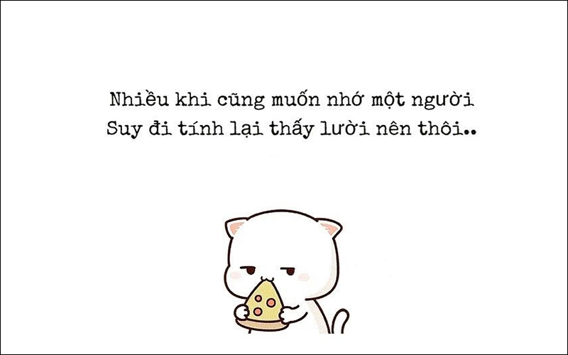 Tiểu sử Facebook vừa hài hước vừa độc lạ