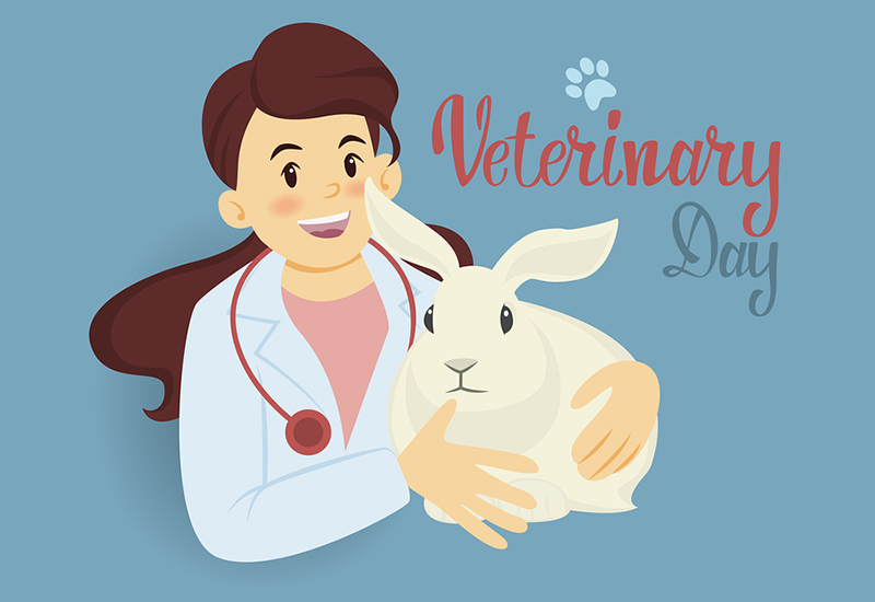 11/7 là sự ghi nhận đối với những đóng góp to lớn của ngành thú y