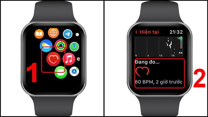 Đo nhịp tim trên Apple Watch thật đơn giản